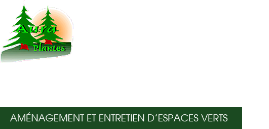 Logo Aura Plantes